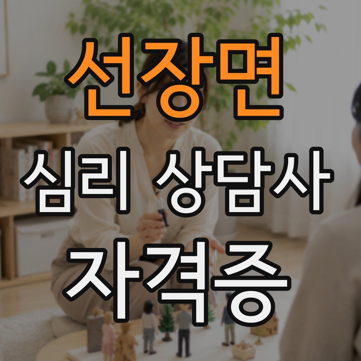 선장면 심리 상담사 자격증