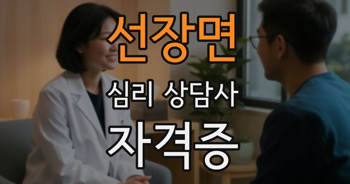 선장면 심리 상담사 자격증