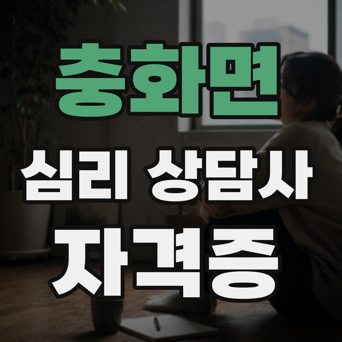 충화면 심리 상담사 자격증