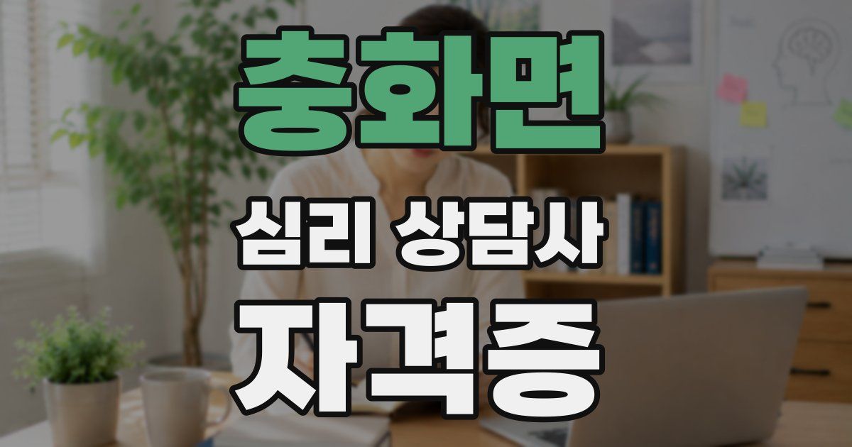 충화면 심리 상담사 자격증