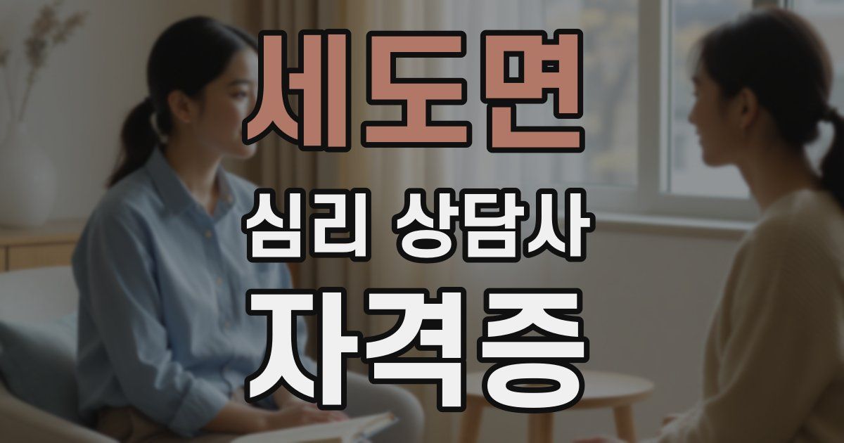세도면 심리 상담사 자격증
