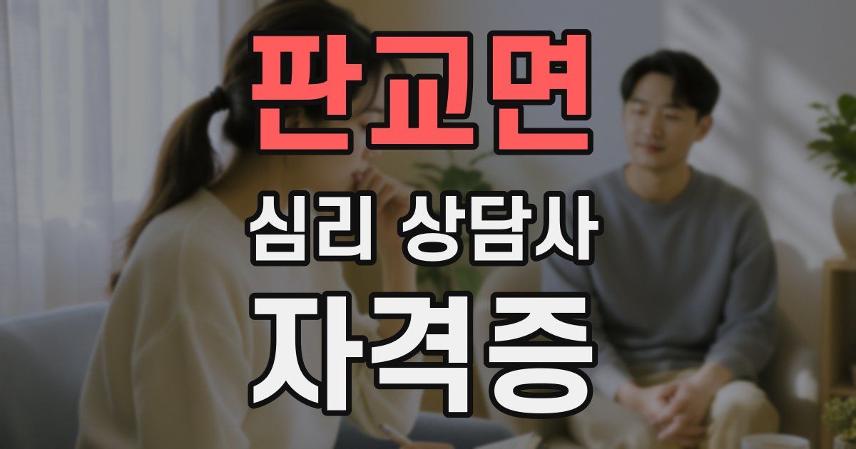 판교면 심리 상담사 자격증