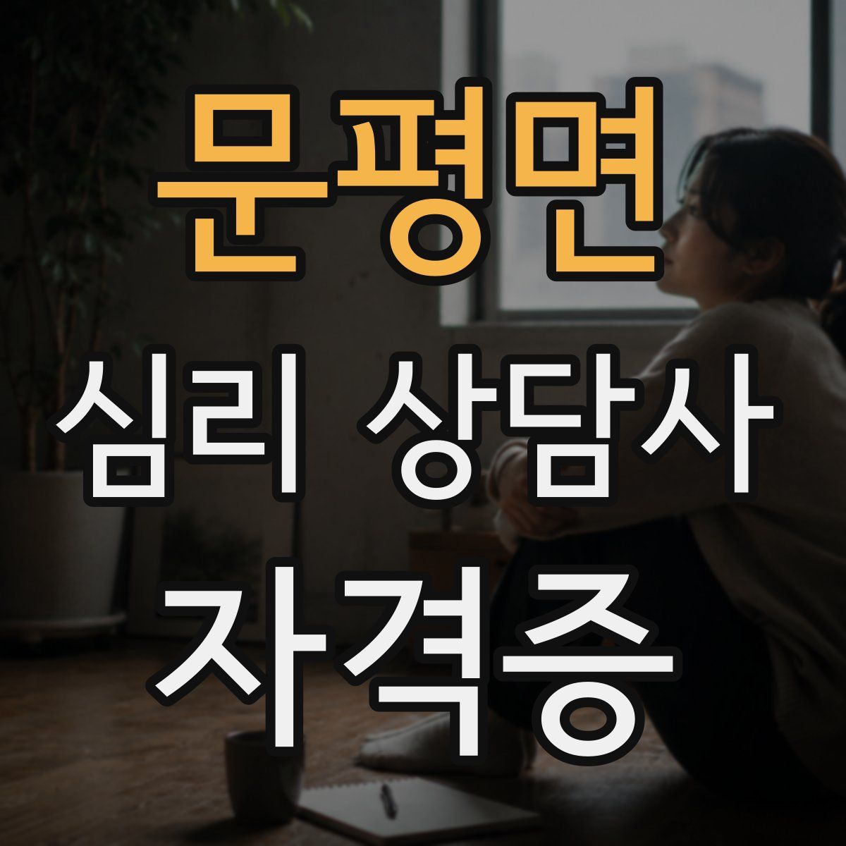 문평면 심리 상담사 자격증