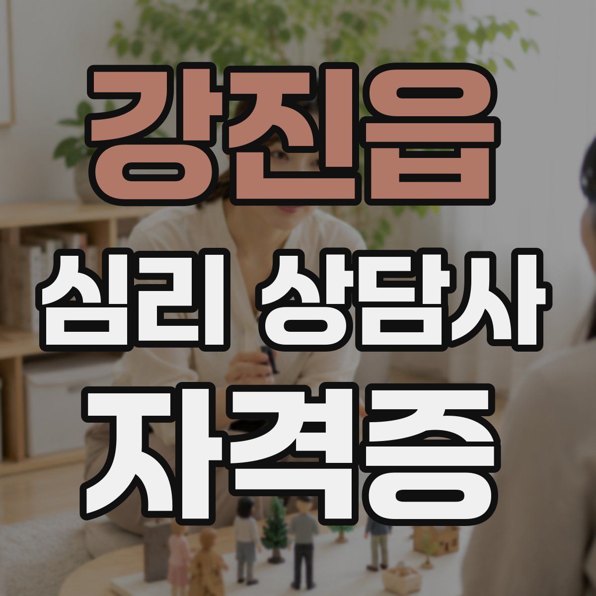 강진읍 심리 상담사 자격증
