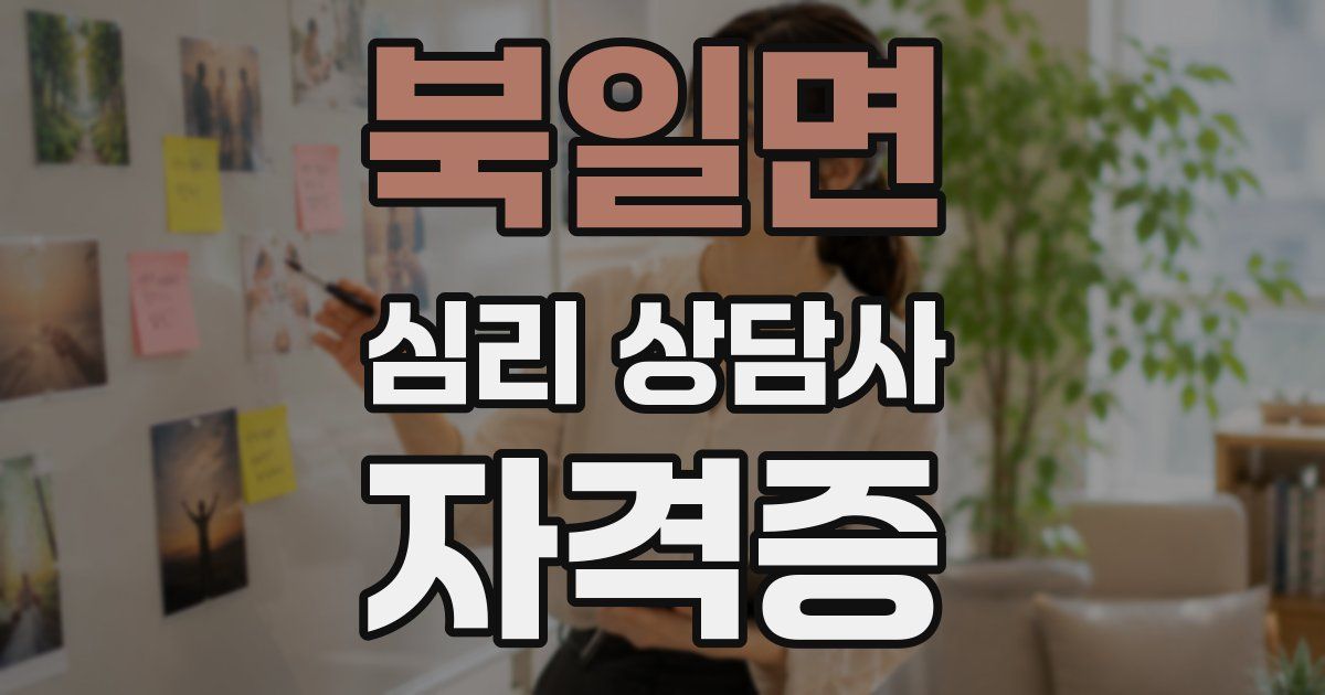 북일면 심리 상담사 자격증