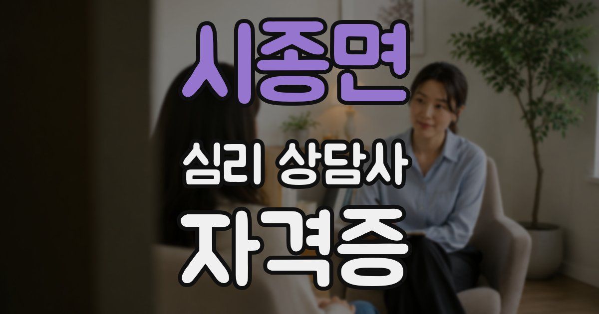 시종면 심리 상담사 자격증