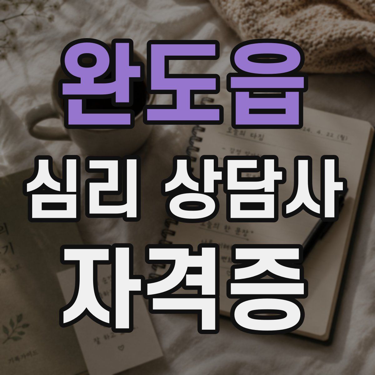 완도읍 심리 상담사 자격증