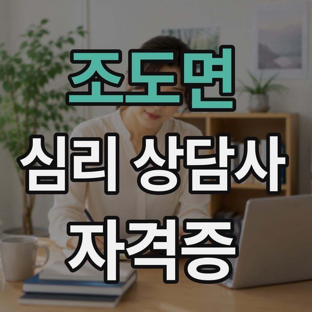 조도면 심리 상담사 자격증