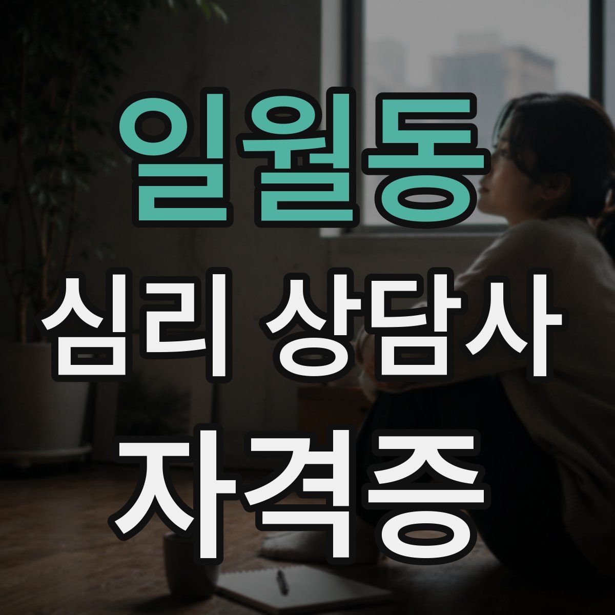 일월동 심리 상담사 자격증