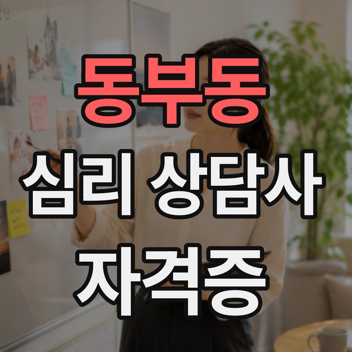 동부동 심리 상담사 자격증