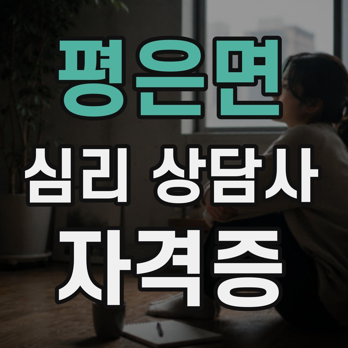 평은면 심리 상담사 자격증