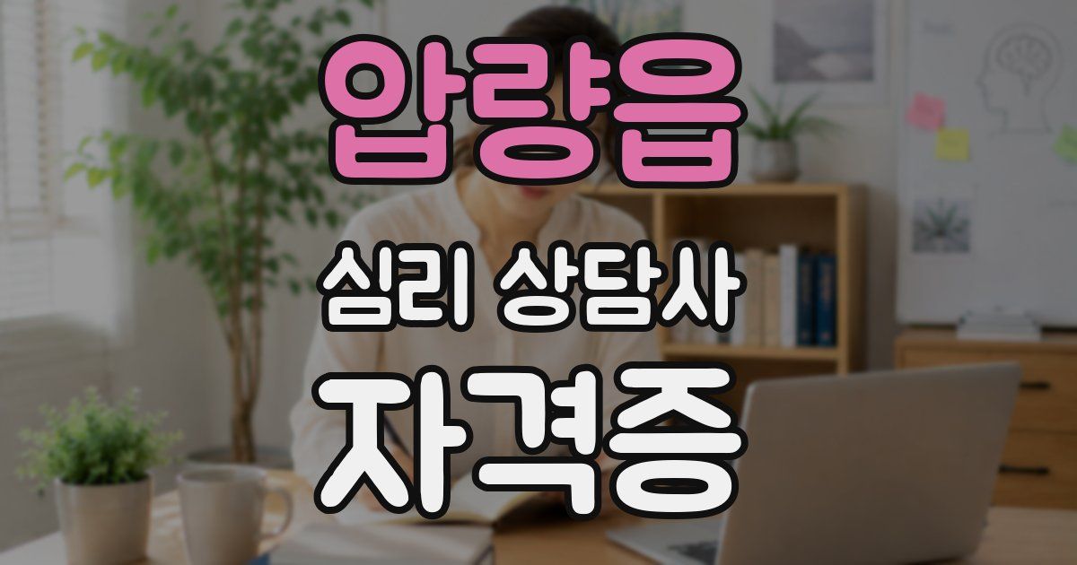 압량읍 심리 상담사 자격증