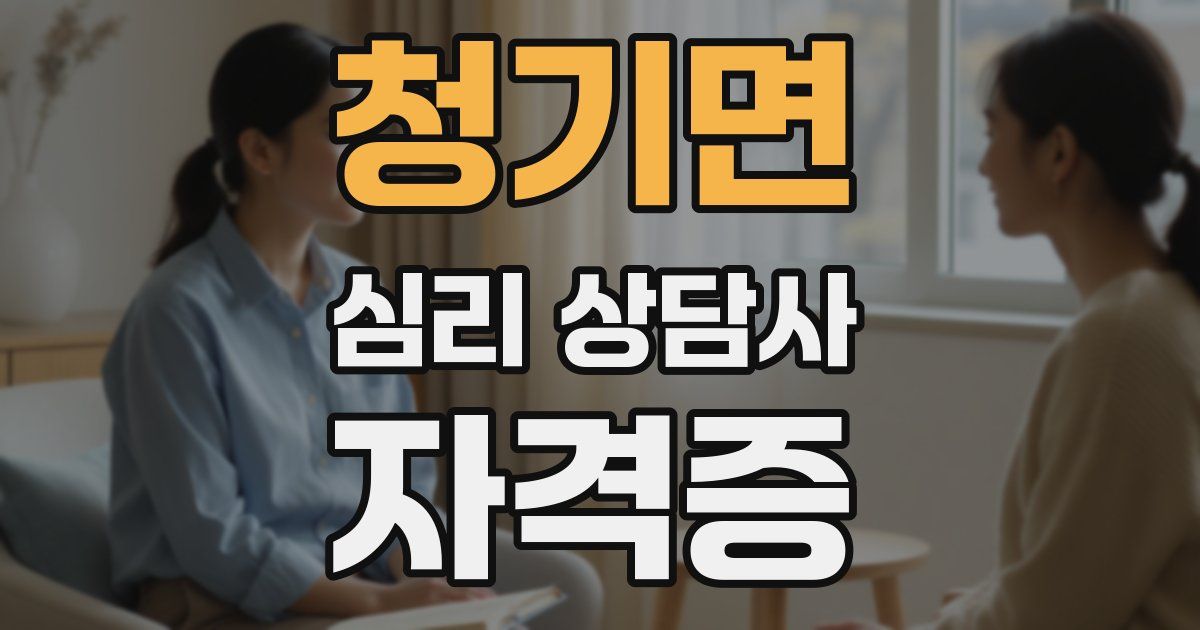 청기면 심리 상담사 자격증