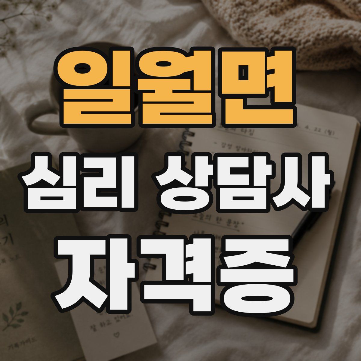 일월면 심리 상담사 자격증