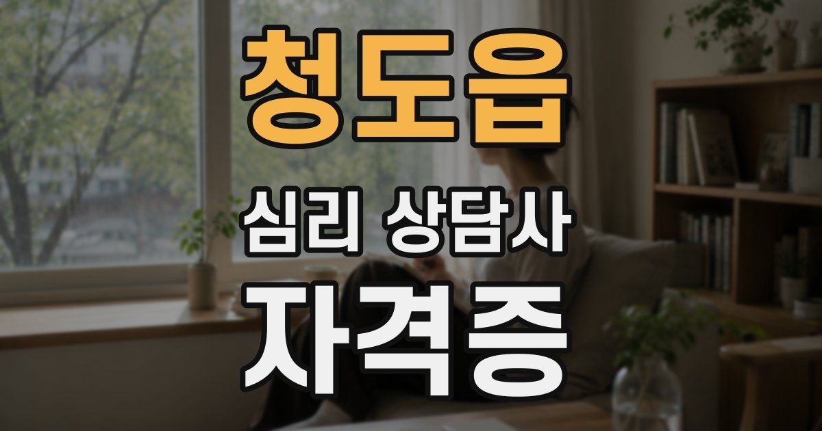 청도읍 심리 상담사 자격증