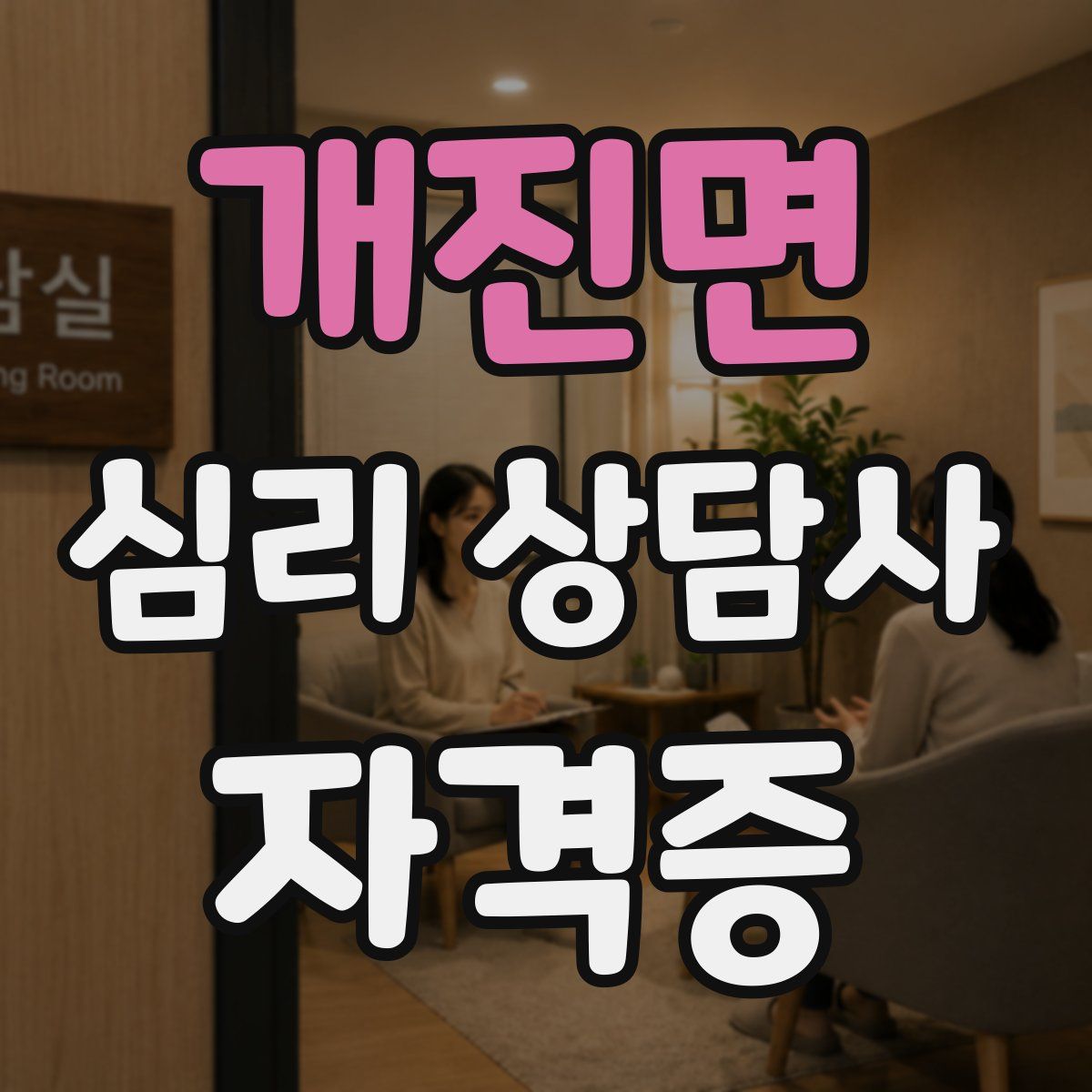 개진면 심리 상담사 자격증