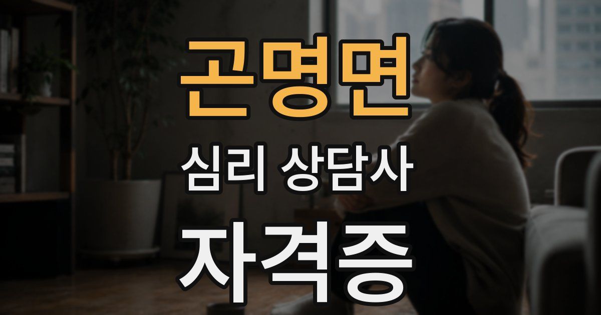 곤명면 심리 상담사 자격증