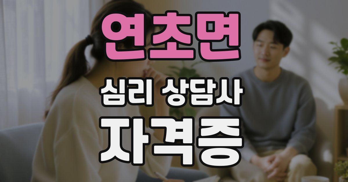 연초면 심리 상담사 자격증