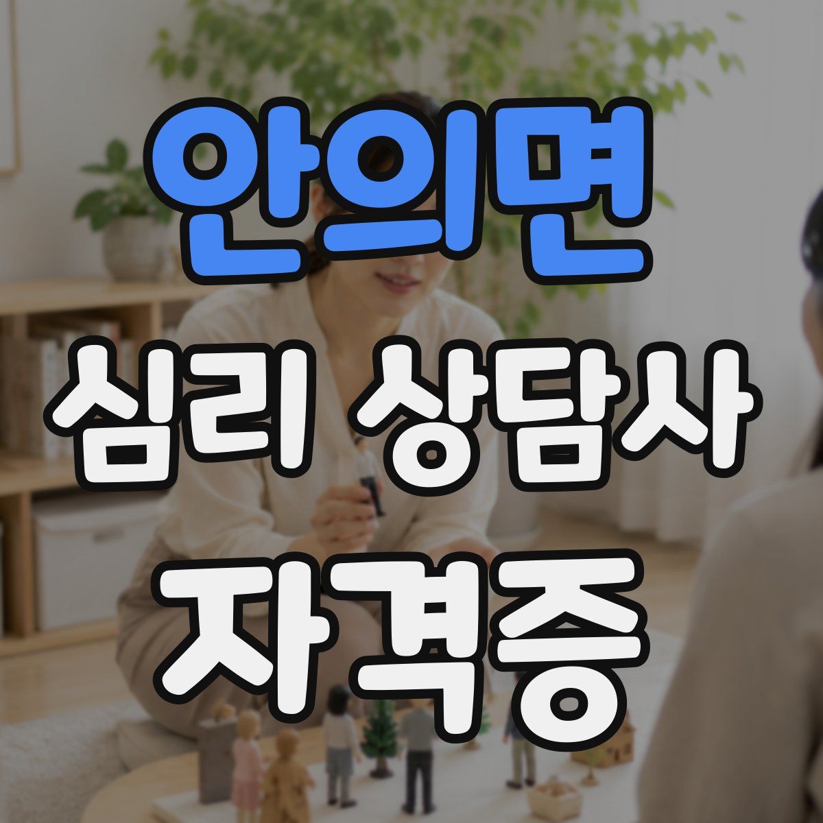 안의면 심리 상담사 자격증