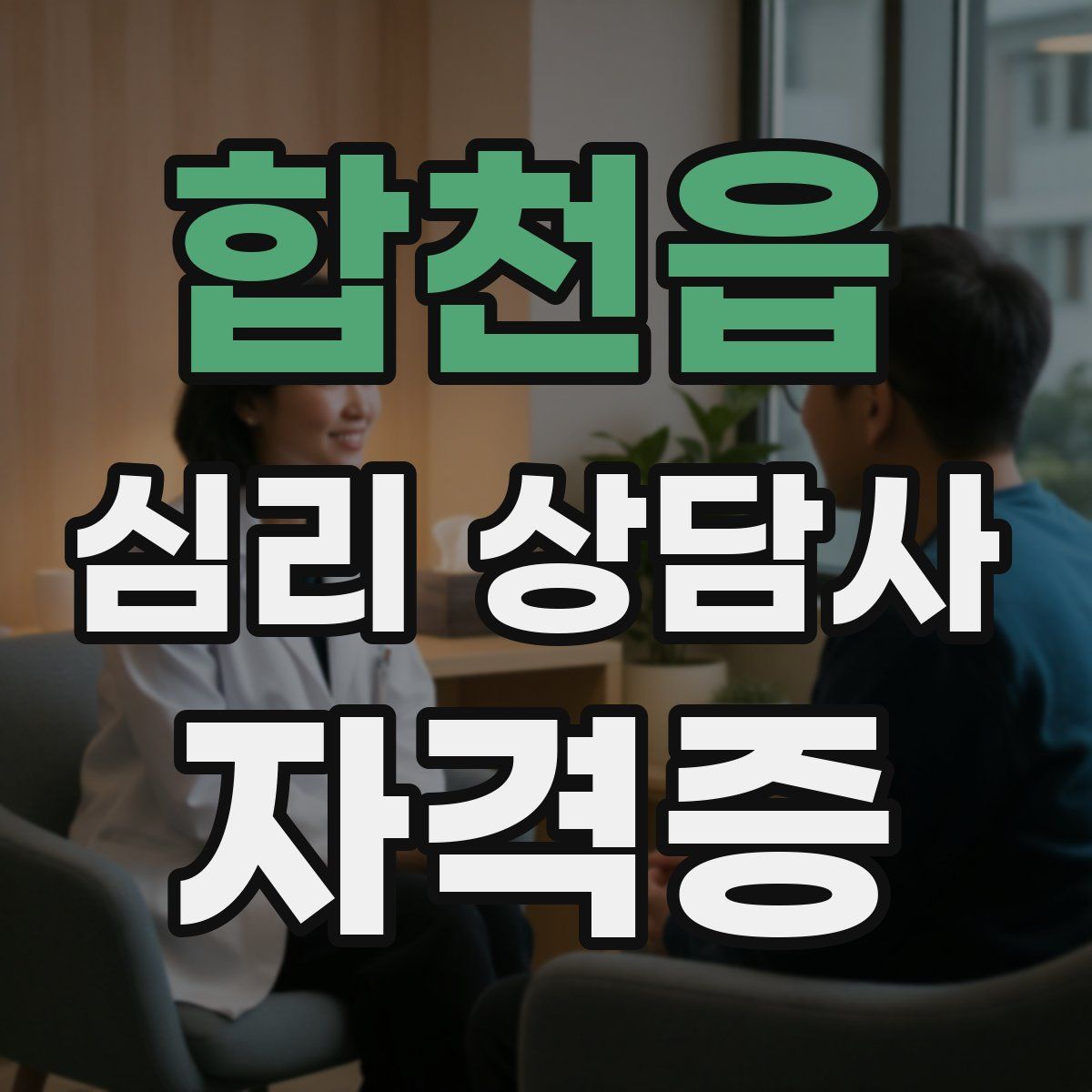 합천읍 심리 상담사 자격증