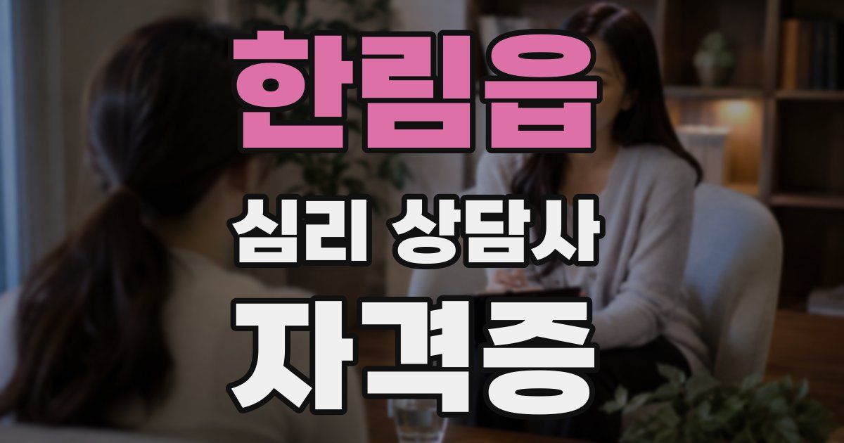 한림읍 심리 상담사 자격증
