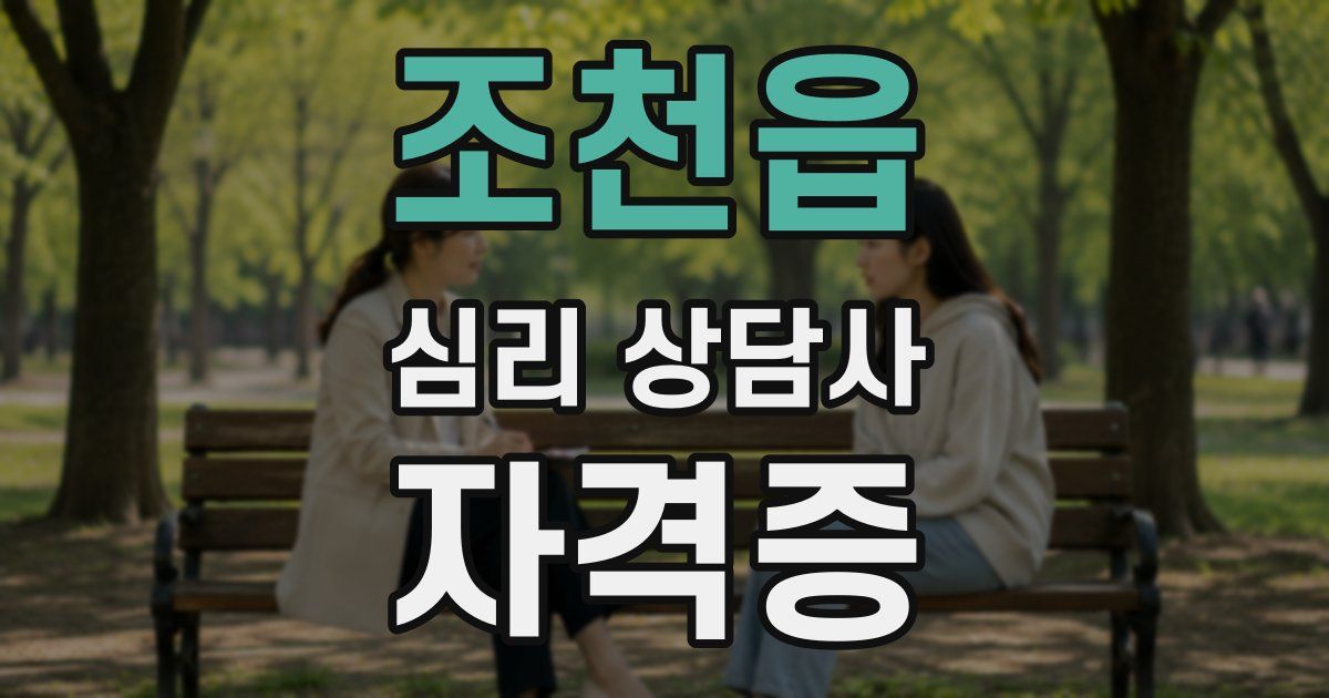 조천읍 심리 상담사 자격증