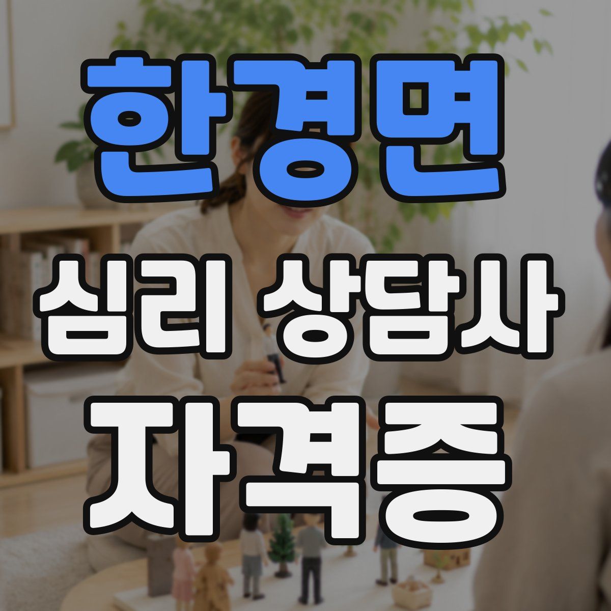 한경면 심리 상담사 자격증