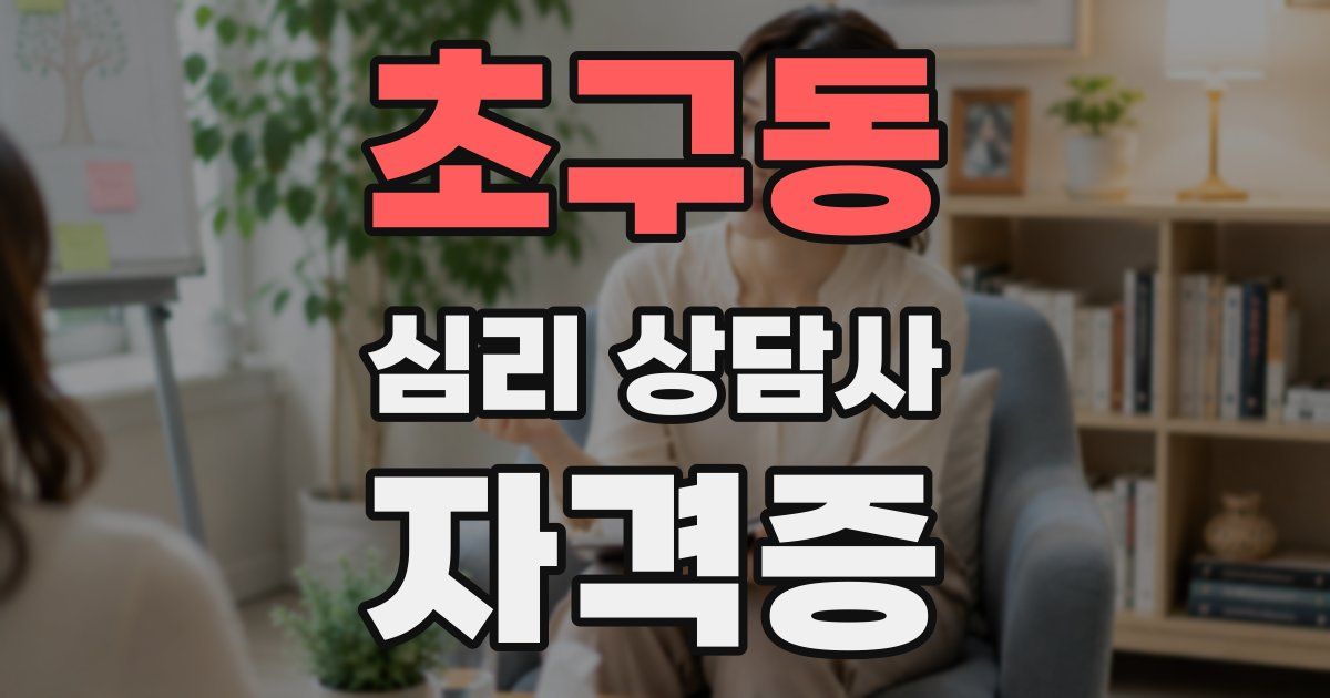 초구동 심리 상담사 자격증