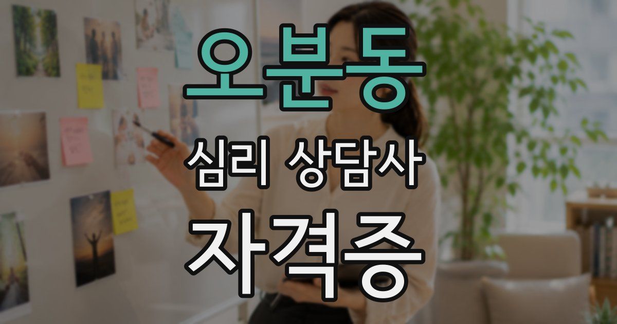 오분동 심리 상담사 자격증