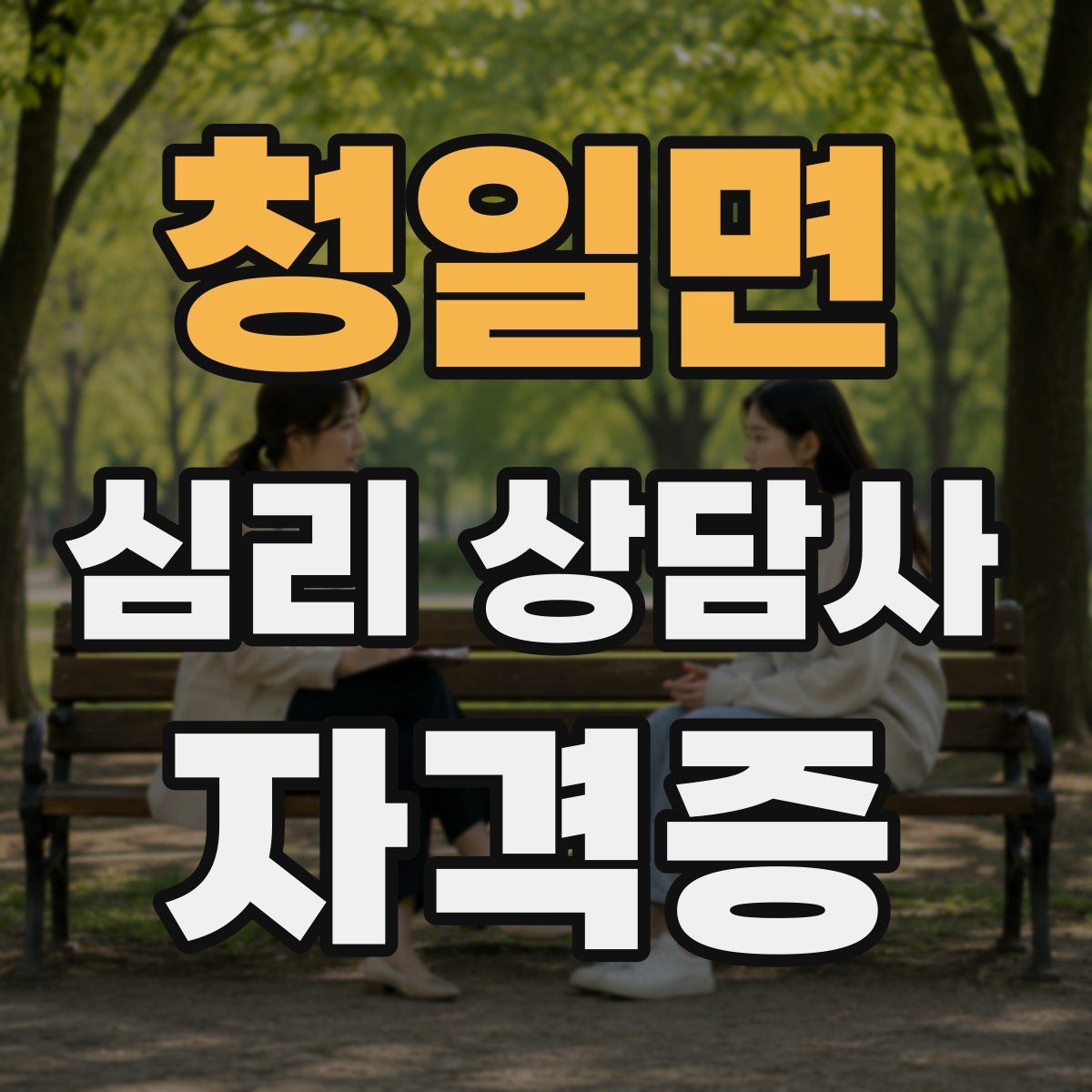 청일면 심리 상담사 자격증