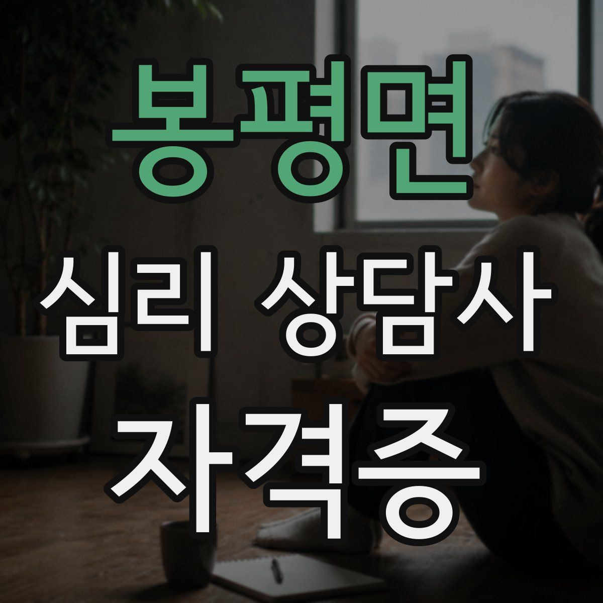 봉평면 심리 상담사 자격증