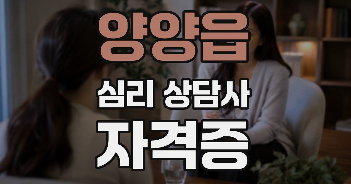 양양읍 심리 상담사 자격증