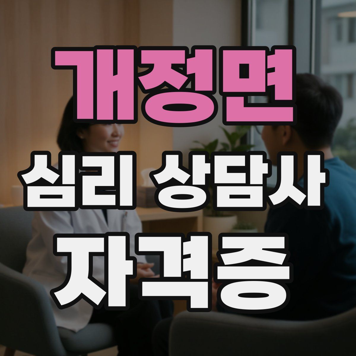 개정면 심리 상담사 자격증