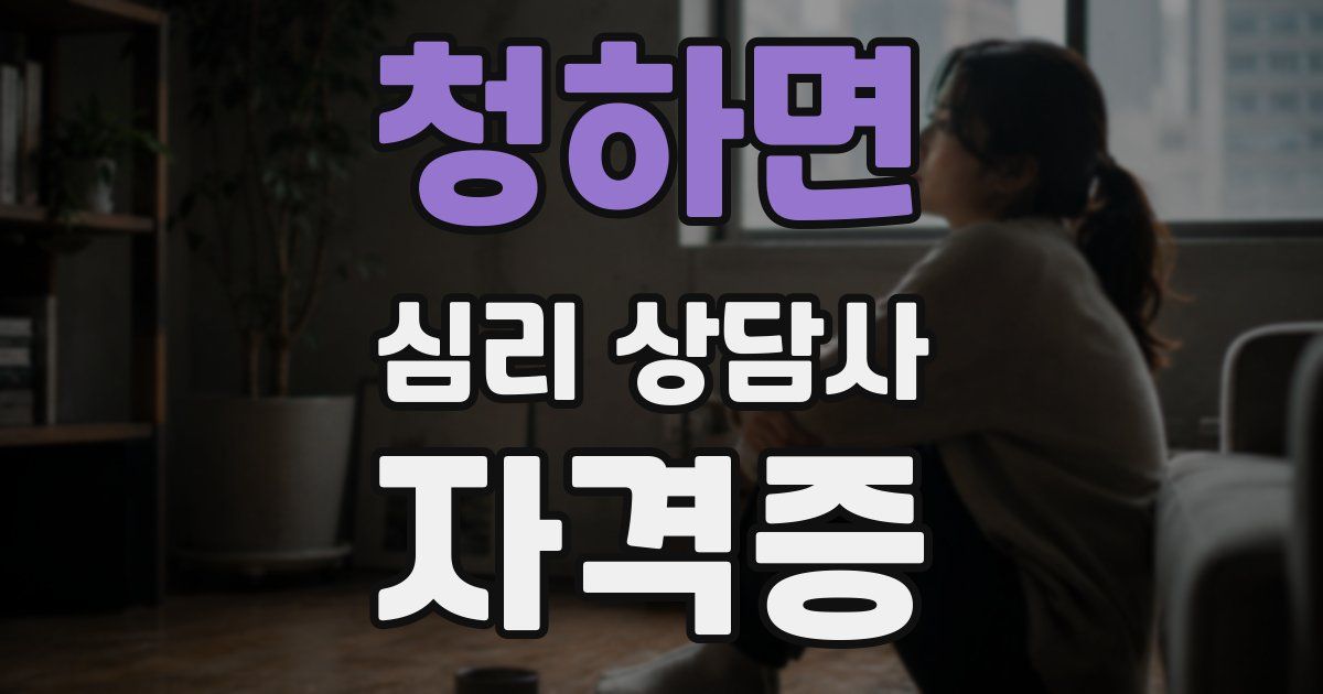 청하면 심리 상담사 자격증