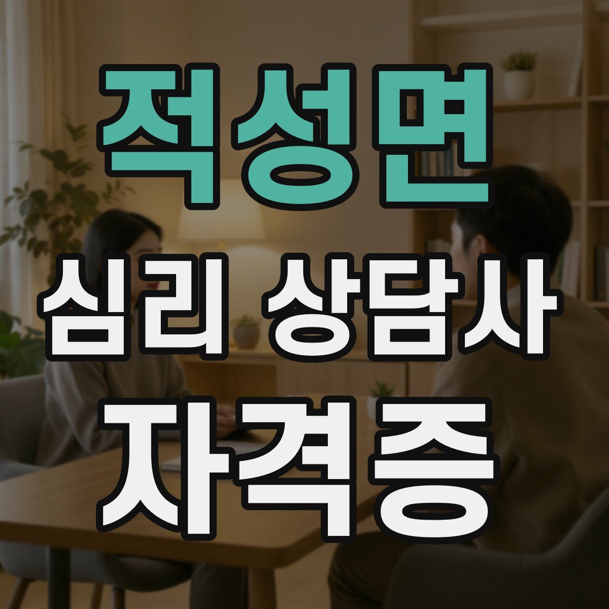 적성면 심리 상담사 자격증