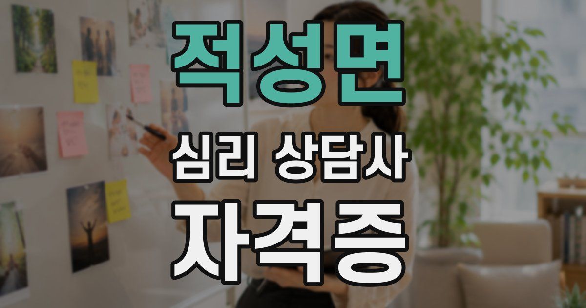 적성면 심리 상담사 자격증