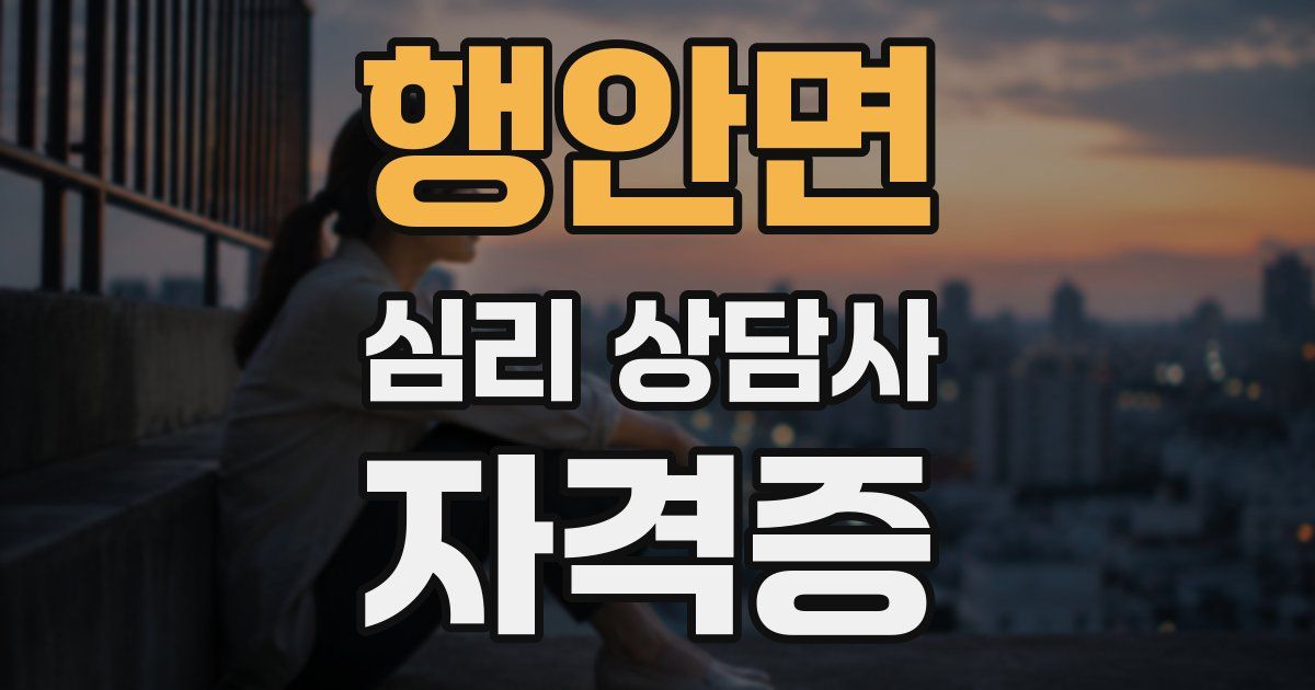 행안면 심리 상담사 자격증