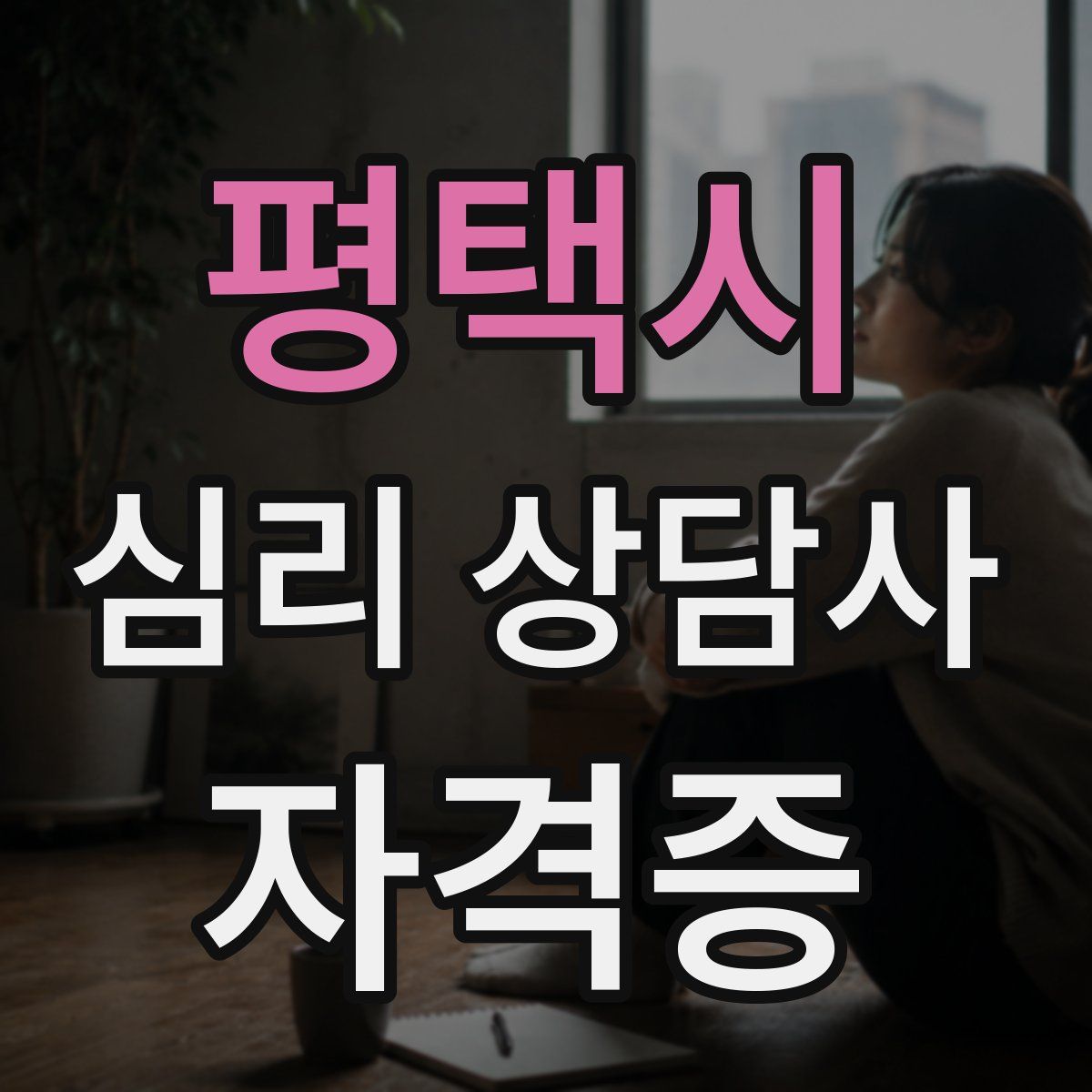 평택시 심리 상담사 자격증