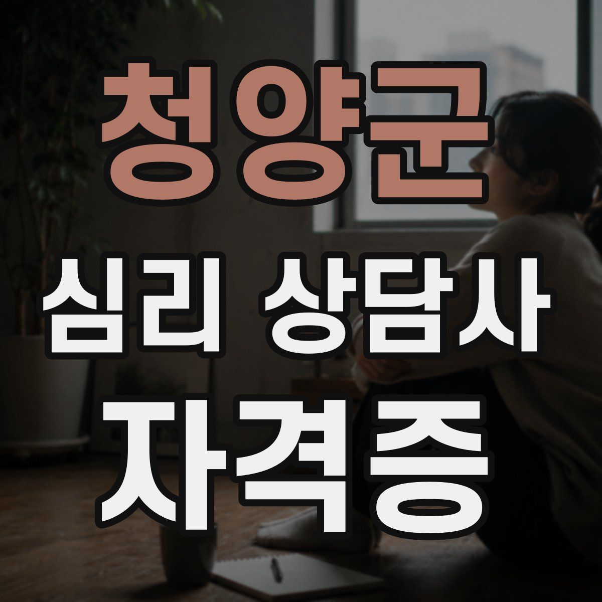 청양군 심리 상담사 자격증