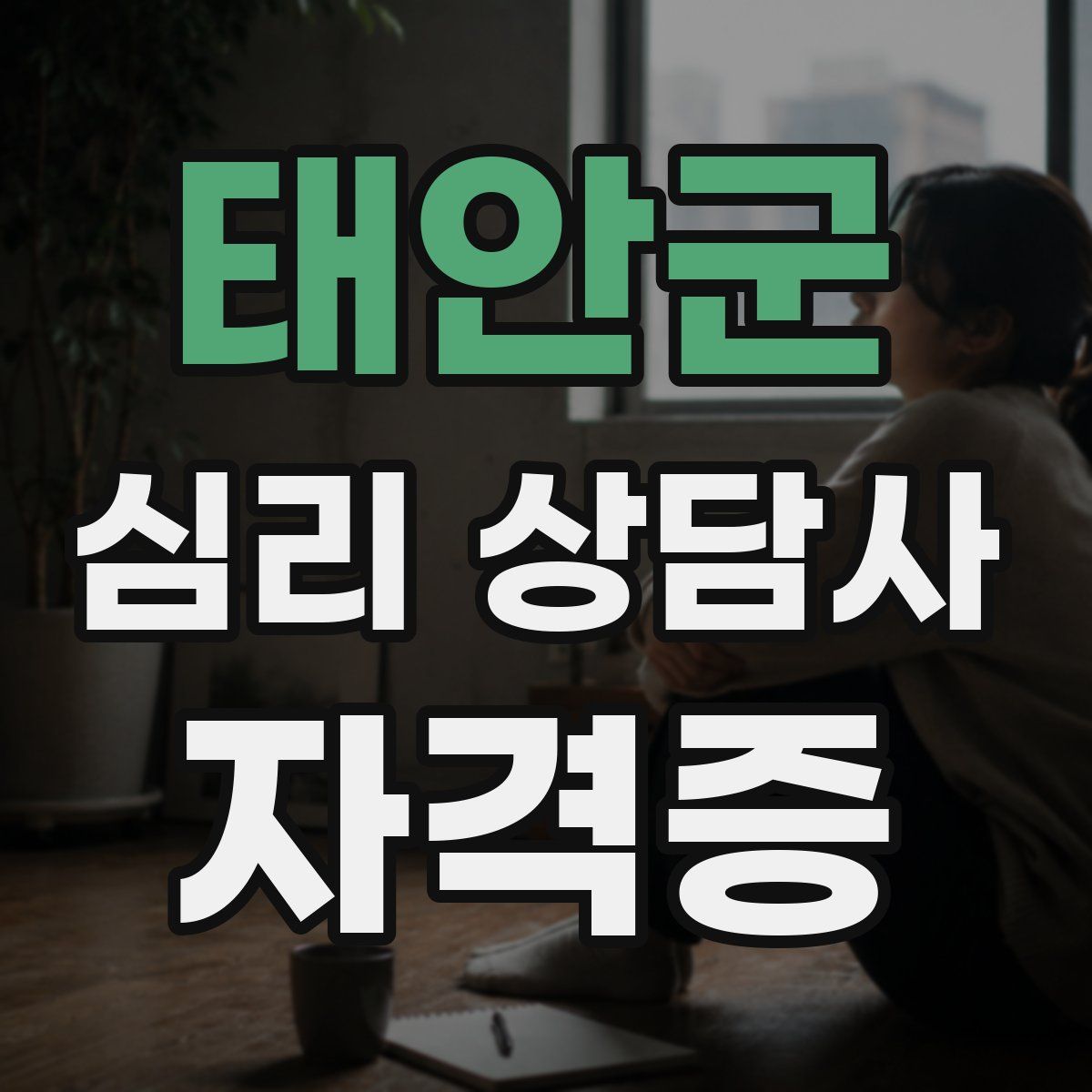태안군 심리 상담사 자격증
