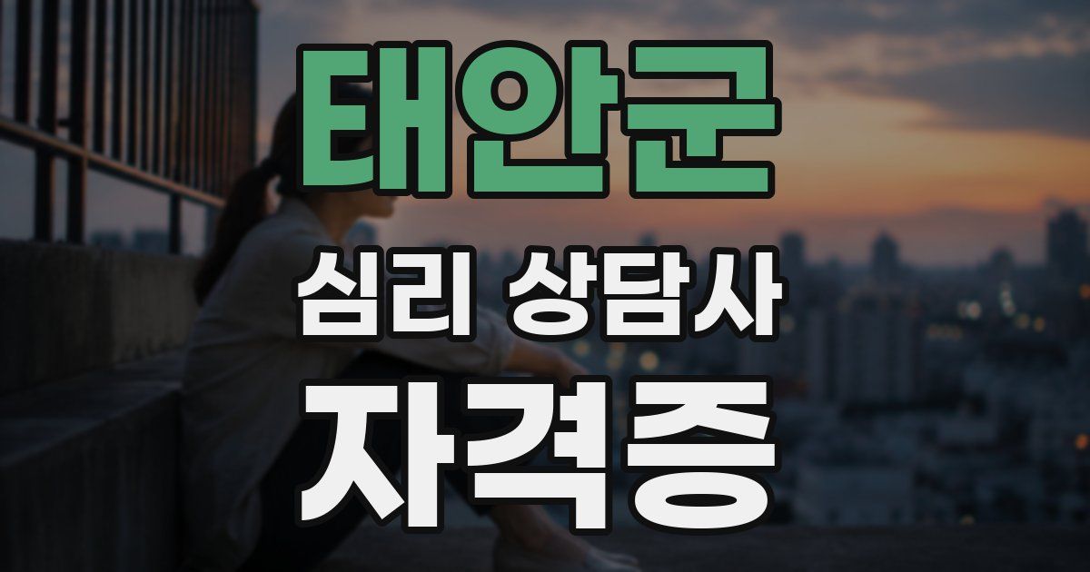 태안군 심리 상담사 자격증