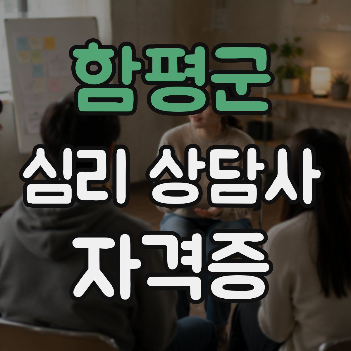 함평군 심리 상담사 자격증