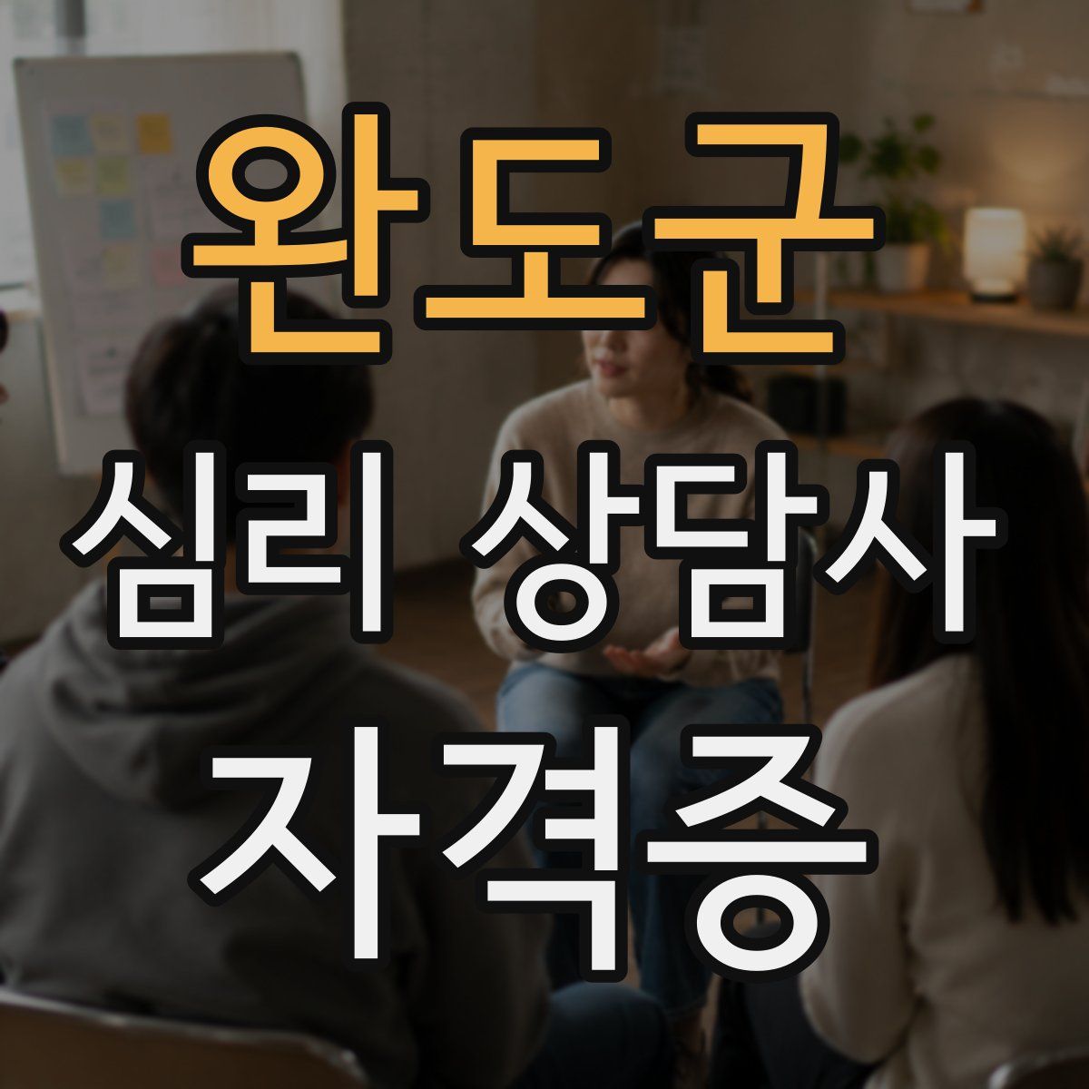 완도군 심리 상담사 자격증