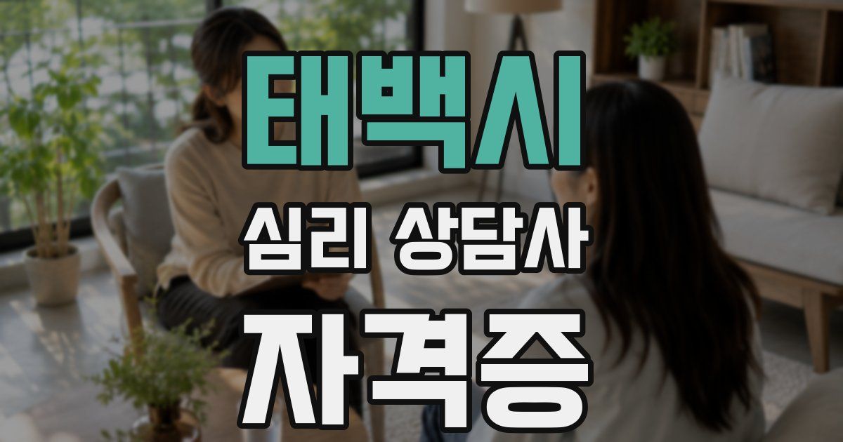 태백시 심리 상담사 자격증