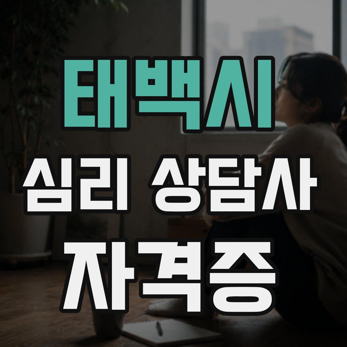 태백시 심리 상담사 자격증