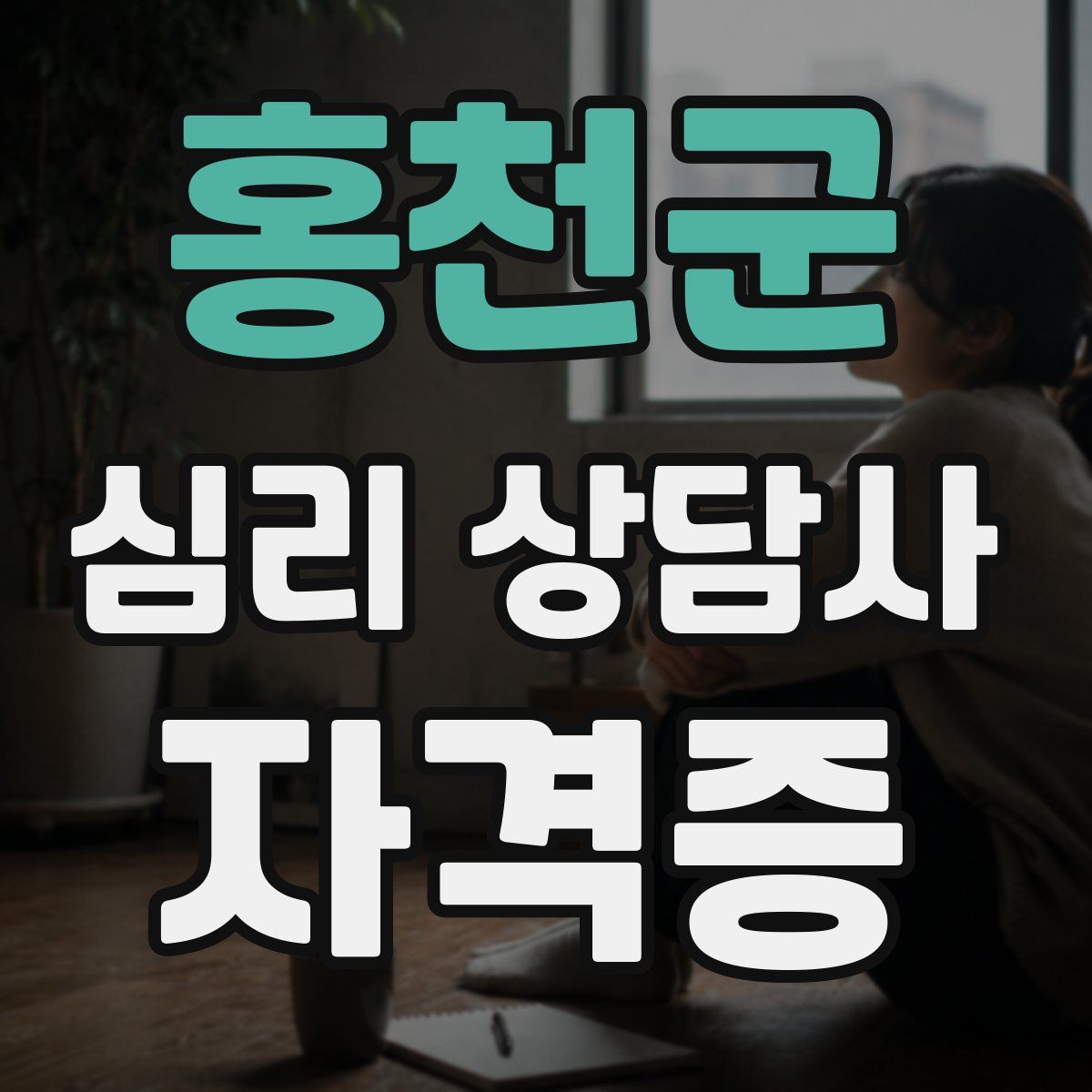 홍천군 심리 상담사 자격증