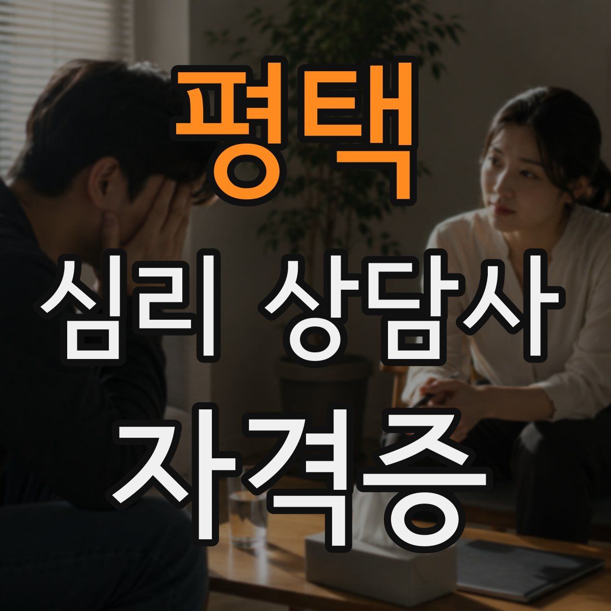 평택 심리 상담사 자격증