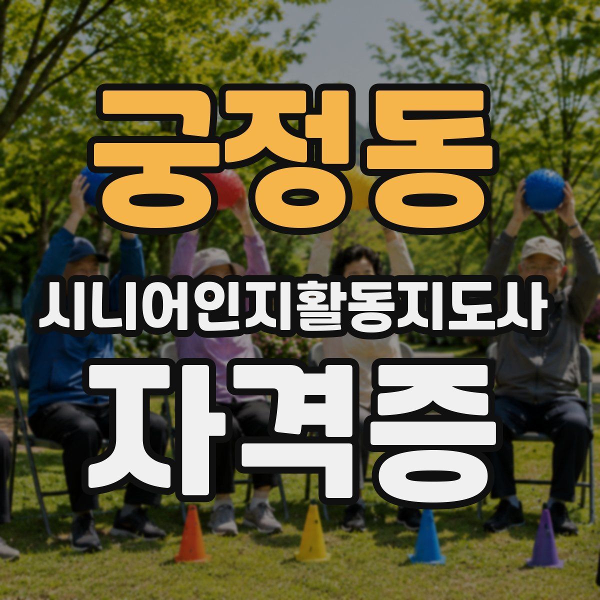 궁정동 시니어인지활동지도사 자격증