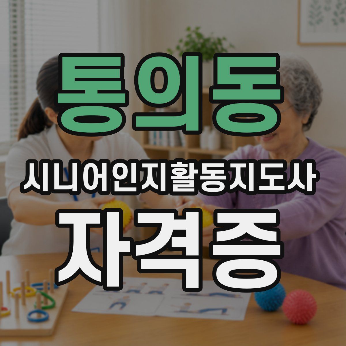 통의동 시니어인지활동지도사 자격증