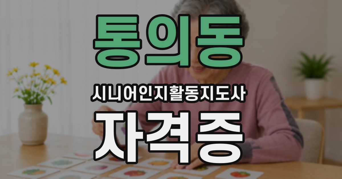 통의동 시니어인지활동지도사 자격증